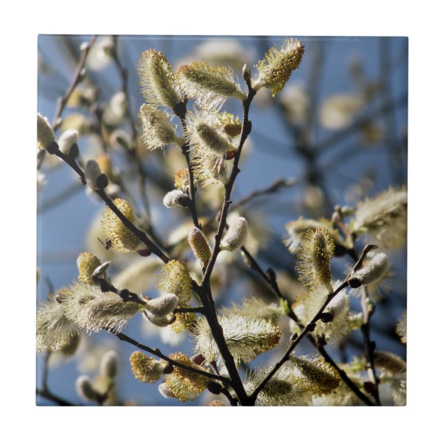 WILLOW TRÄD KAKELPLATTA (Framsidan)