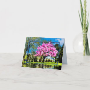 Willow Träd och Nature God's Artwork Notecard Tack Kort