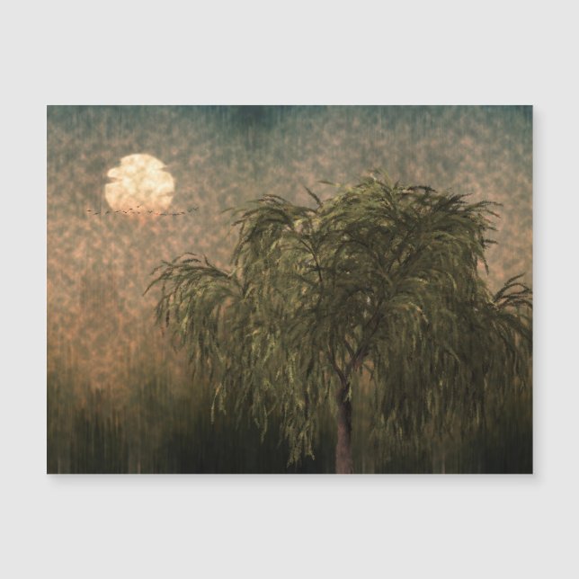 Willow vid Sunset (Framsida)