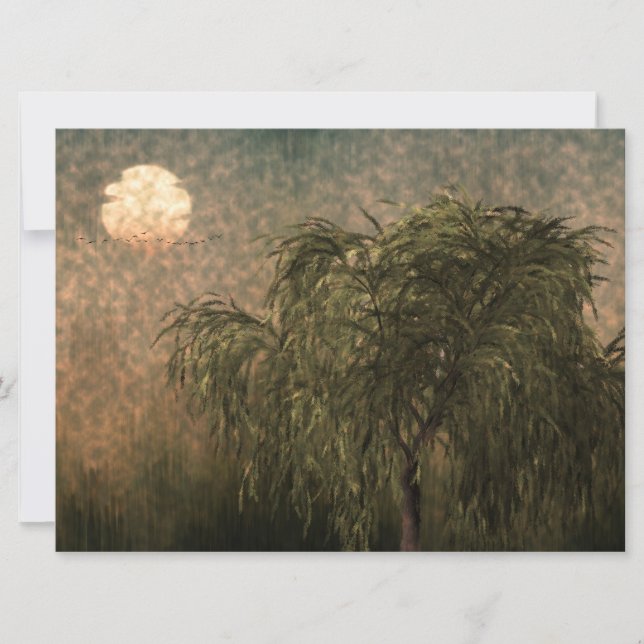 Willow vid Sunset (Framsida)