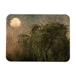 Willow vid Sunset Magnet