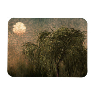 Willow vid Sunset Magnet