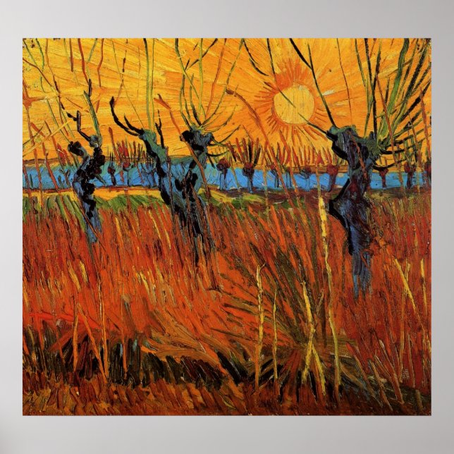 Willows at Sunset av Vincent van Gogh Poster (Framsidan)