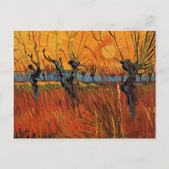 Willows at Sunset av Vincent van Gogh Vykort (Framsida)