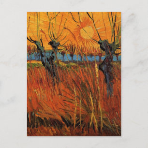 Willows at Sunset av Vincent van Gogh Vykort