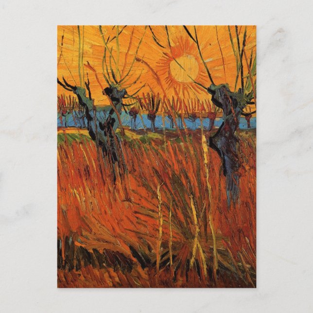 Willows at Sunset av Vincent van Gogh Vykort (Framsida)