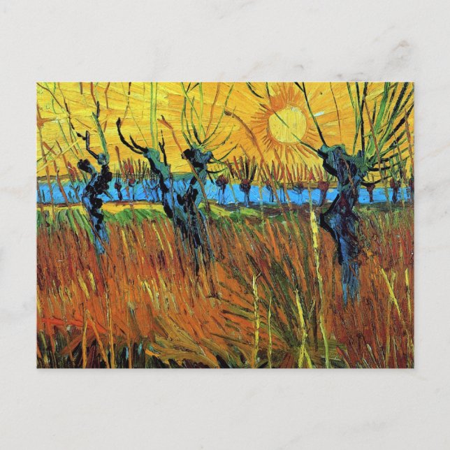 Willows at Sunset (F572) Van Gogh Fine Art Vykort (Framsida)