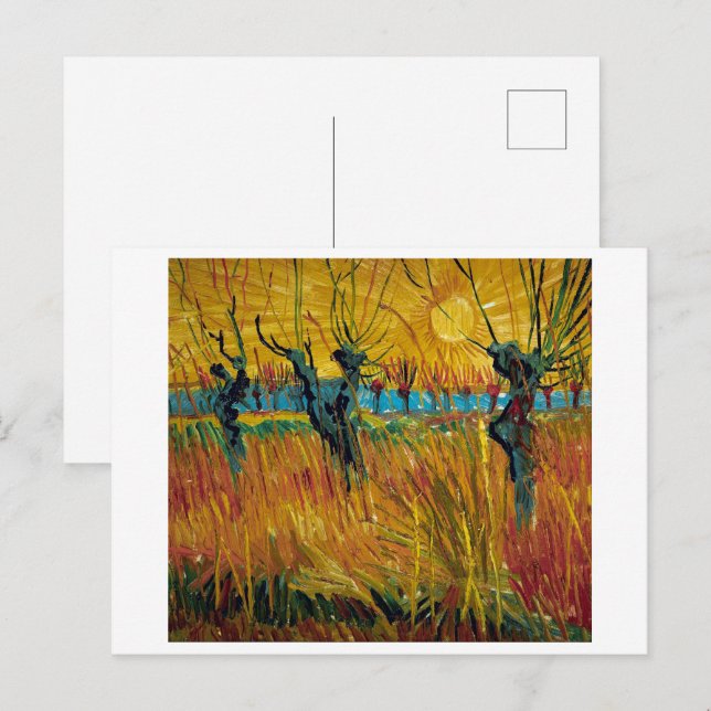 Willows vid Sunset | Van Gogh | Vykort (Fram/baksida)