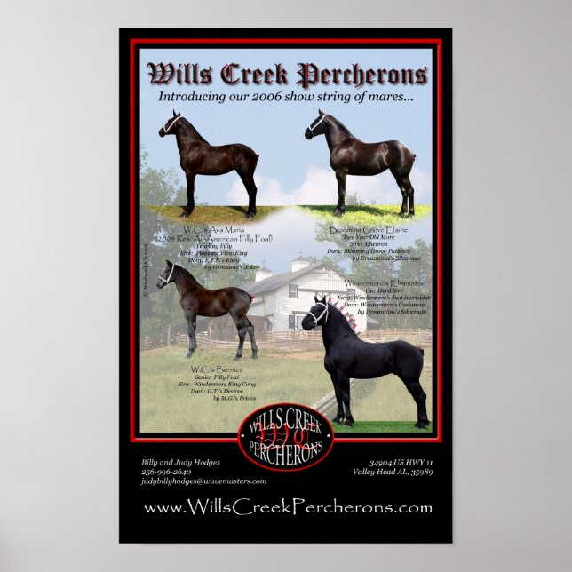 WILLS BÄCK PERCHERONS 2006 SHOW STRING POSTER (Framsidan)