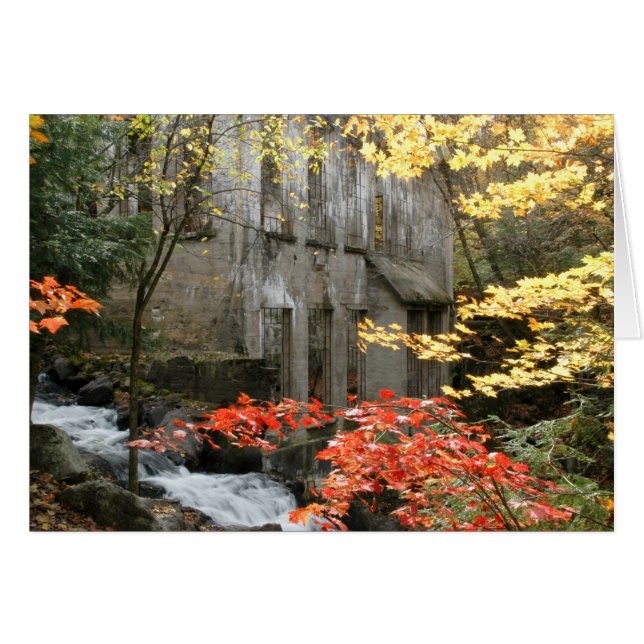 Willsons Ruins, Quebec. Hälsningskort (Framsidan Horizontal)