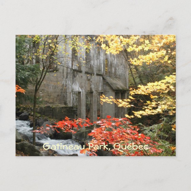 Willsons Ruins, Quebec. Vykort (Framsida)