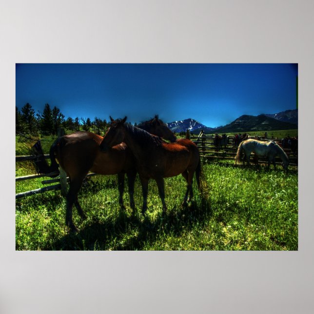 Willy and Charger Poster (Framsidan)