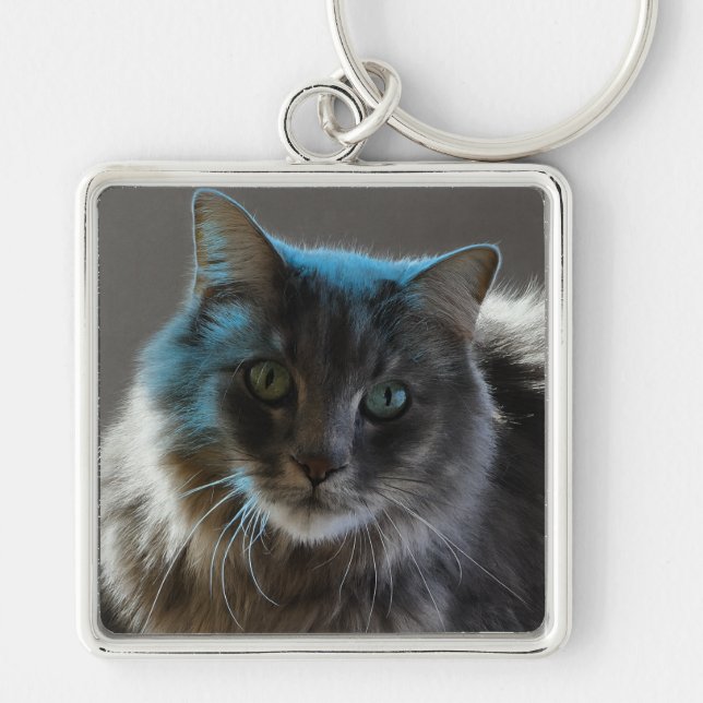 Willy Boy Majestic Long-Haired Grey Cat Fyrkantig Silverfärgad Nyckelring (Framsidan)