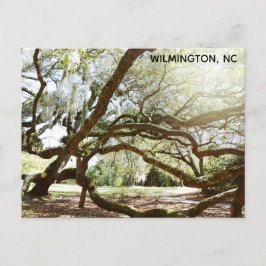 Wilmington North Carolina Airlie Gardens Live Oak Vykort