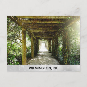Wilmington North Carolina Airlie Gardens Travel Vykort