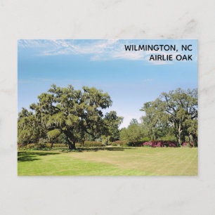 Wilmington North Carolina Airlie Oak Träd Vykort