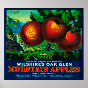 Wilshires för Apple för OakGlen etikett låda Poster