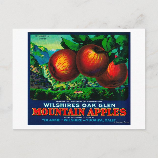 Wilshire's Oak Glen Apple Låda Label Vykort (Framsida)