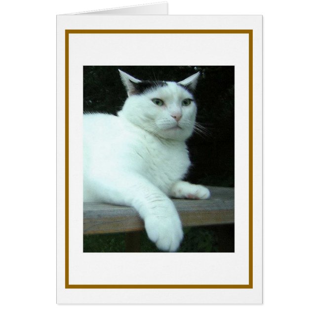 WiLSoN-andra tankekort Hälsningskort (Framsidan)