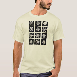 Wilson Bentley snöflingor Tee Shirt