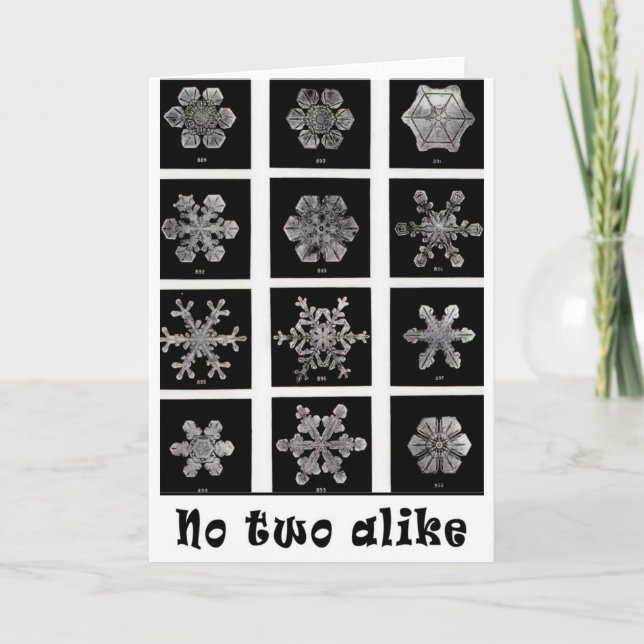 Wilson Bentleys Snöflingor, 1902 Helgkort (Framsida)