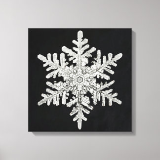 Wilson Bentleys Snowflake Canvastryck