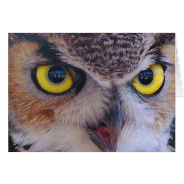 Wilson Card OBS Kort (Framsidan Horizontal)