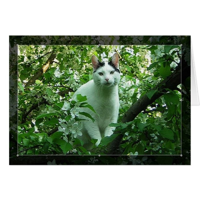 WiLSoN-Grönt Hälsningskort (Framsidan Horizontal)