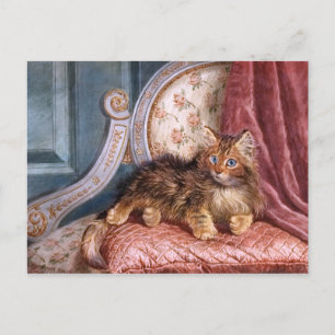 Wilson Hepple: Brown Kitten på en armstol Vykort