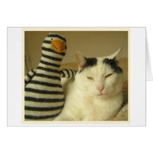 WILSoN & Pengy #1 Hälsningskort