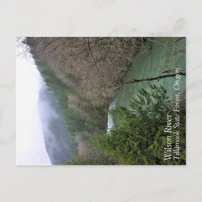 Wilson River, OR Vykort (Framsida)