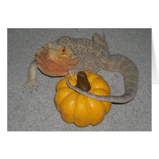 Wilson the Bearded Dragon Hälsningskort (Framsidan Horizontal)