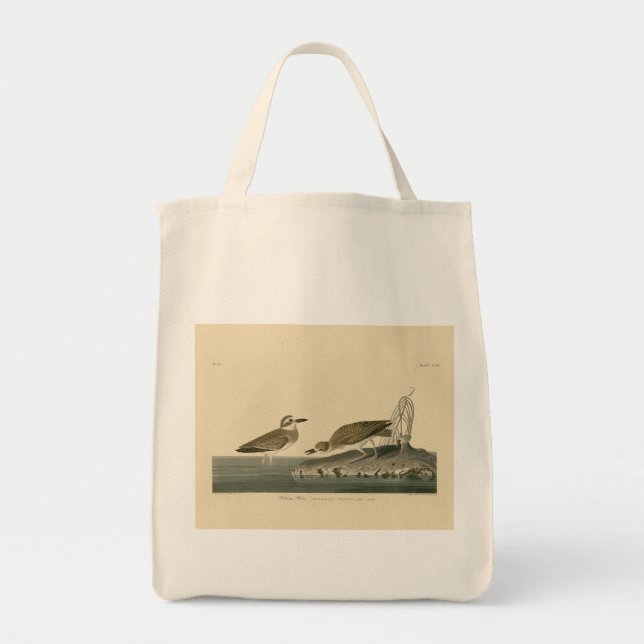 Wilson's Plover från Audubon's Birds of America Tygkasse (Framsidan)