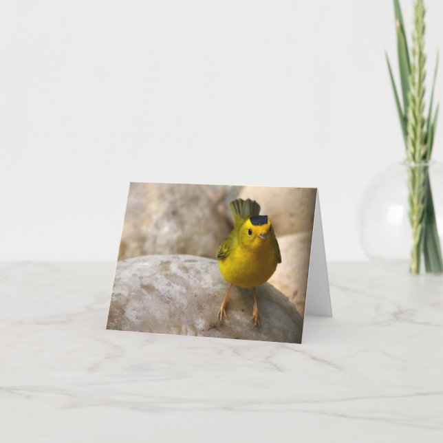 Wilsons sångare - Joe Sweeney - kort (Framsida)