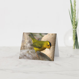 Wilsons sångare - Joe Sweeney - kort