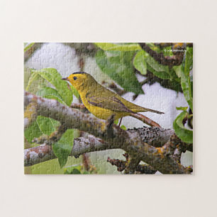 Wilsons Warbler i Pear Träd Pussel