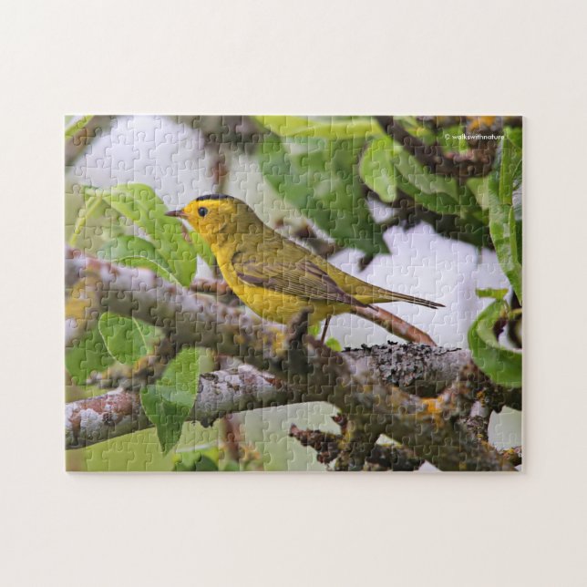 Wilsons Warbler i Pear Träd Pussel (Horisontell)