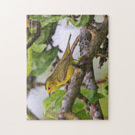 Wilsons Warbler i Pear Träd Pussel