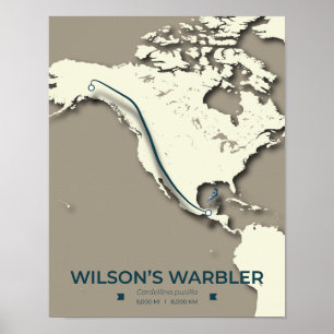 Wilson's Warbler Migration Karta - Minimalist Poster