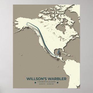 Wilson's Warbler Migration Karta - Minimalist Poster