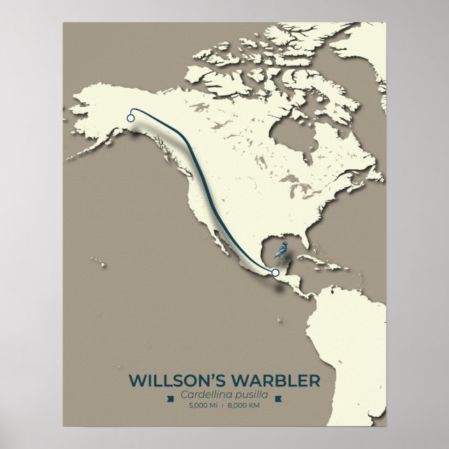 Wilson's Warbler Migration Karta - Minimalist Poster (Framsidan)