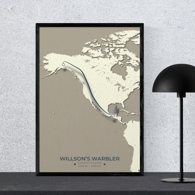 Wilson's Warbler Migration Karta - Minimalist Poster (Skapare uppladdad)