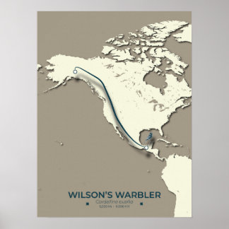 Wilson's Warbler Migration Karta - Minimalist Poster