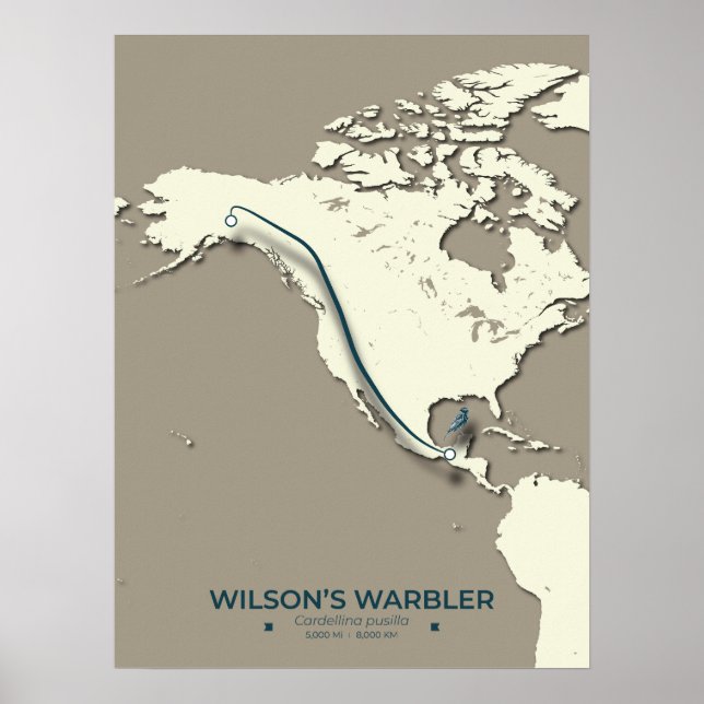 Wilson's Warbler Migration Karta - Minimalist Poster (Framsidan)