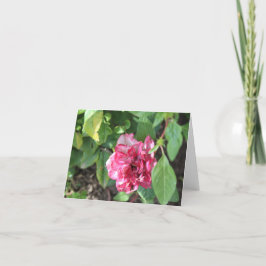 Wilted Ro i Garden Helgkort