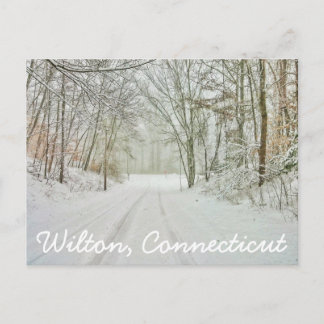 Wilton Connecticut Frimärke Vykort