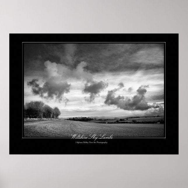 Wiltshire Himlar Lambs, Fine Art gallery-stil Poster (Framsidan)