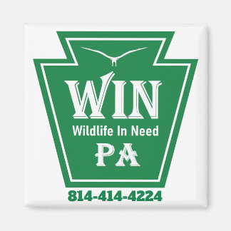 WIN LOGO Kylskåpsmagnet