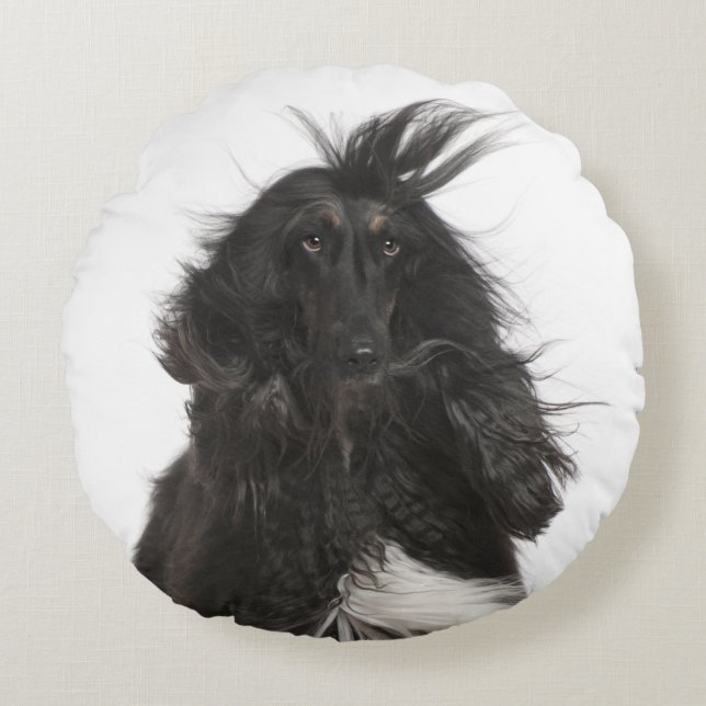 Windblown Afghan Hound Rund Kudde (Framsidan)
