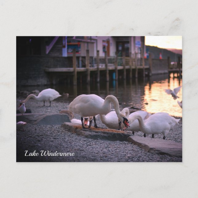 Windermere, Sjö District England Helg Vykort (Framsida)